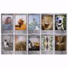 Billede af INSTAX MINI FILM STONE GRAY